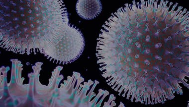 bacteria viruses disinfection