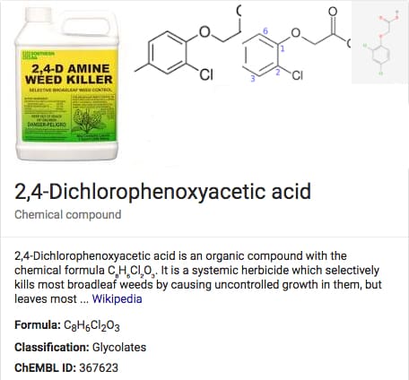 Dichlorophenoxyacetic acid molecule
