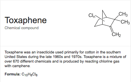 Toxaphene Molecule