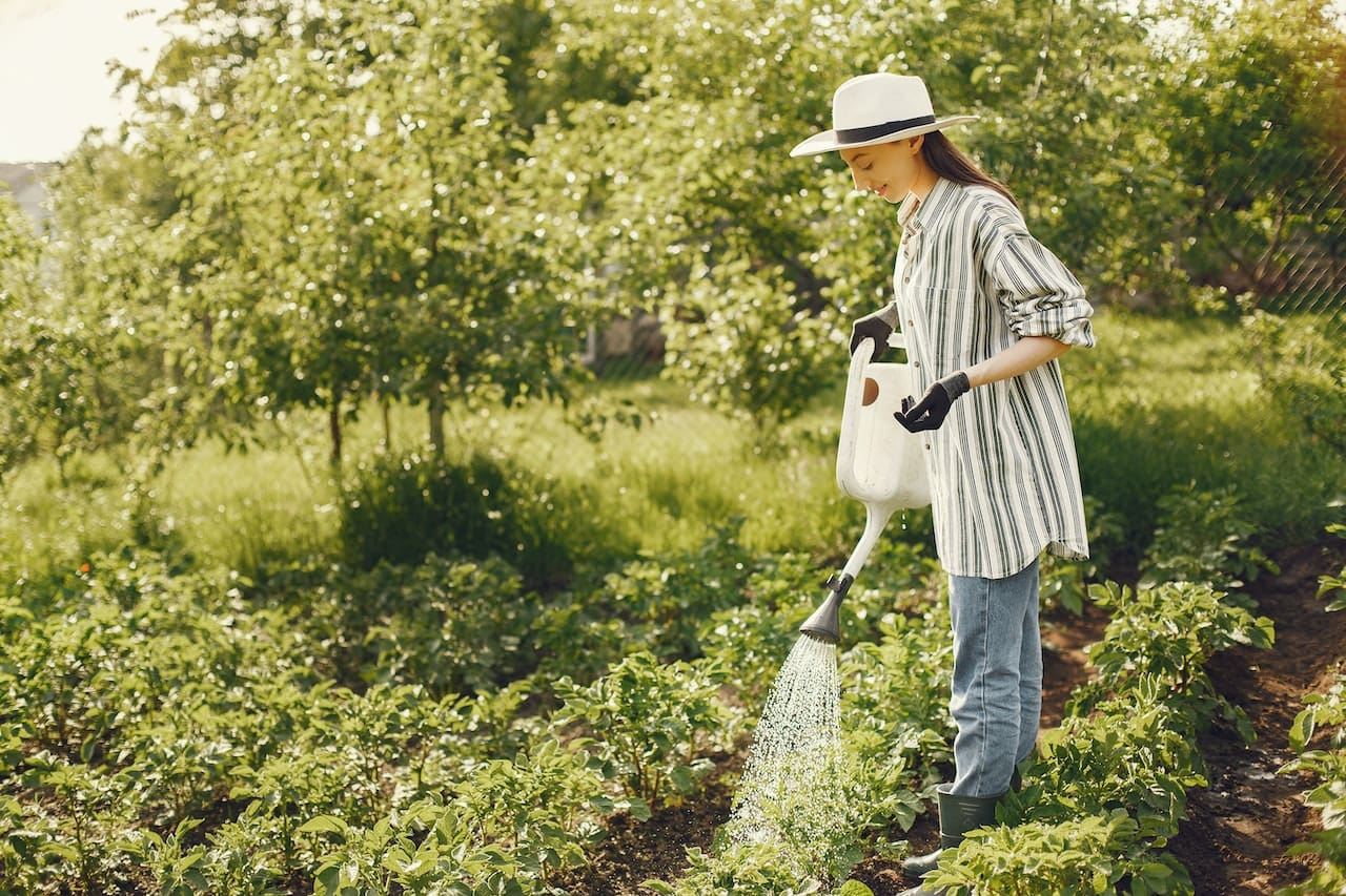 A lush backyard garden in full bloom. A homeowner waters the plants using a hose, with droplets glistening in the sun, emphasizing the role of clean water in nurturing life.