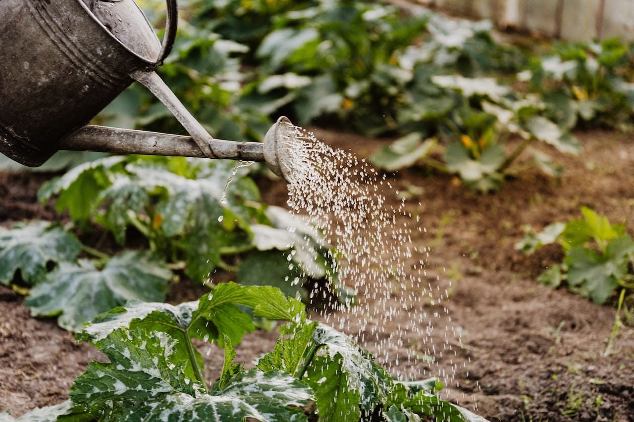 A vibrant garden scene with blooming flowers and buzzing bees. A gardener tends to the plants, using a watering can, emphasizing the role of clean water in nurturing life.