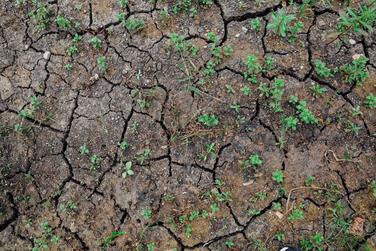 A close-up of a garden hose nozzle dripping water onto parched, cracked soil, creating a small muddy patch.