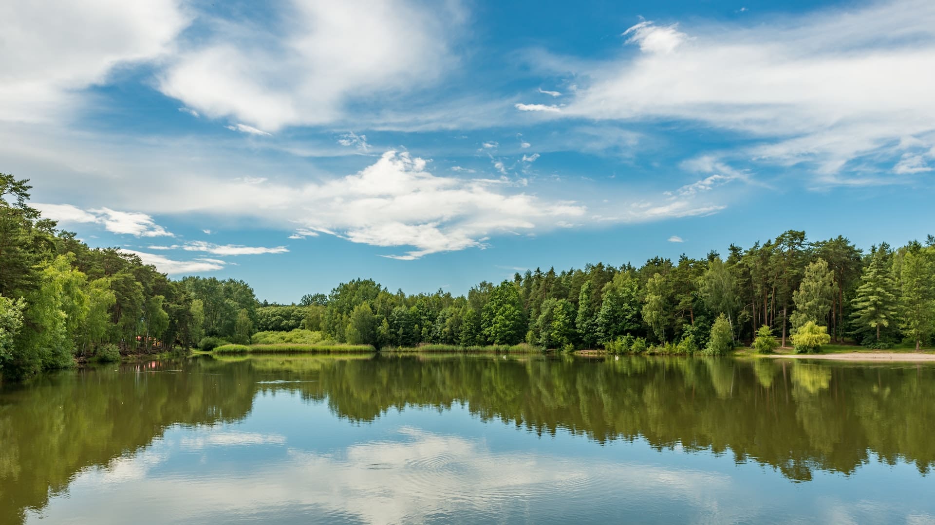 A breathtaking image of the picturesque Blue Hole Park, with crystal-clear waters, limestone bluffs, and lush greenery, illustrating Georgetown's deep connection to its natural beauty and outdoor attractions.