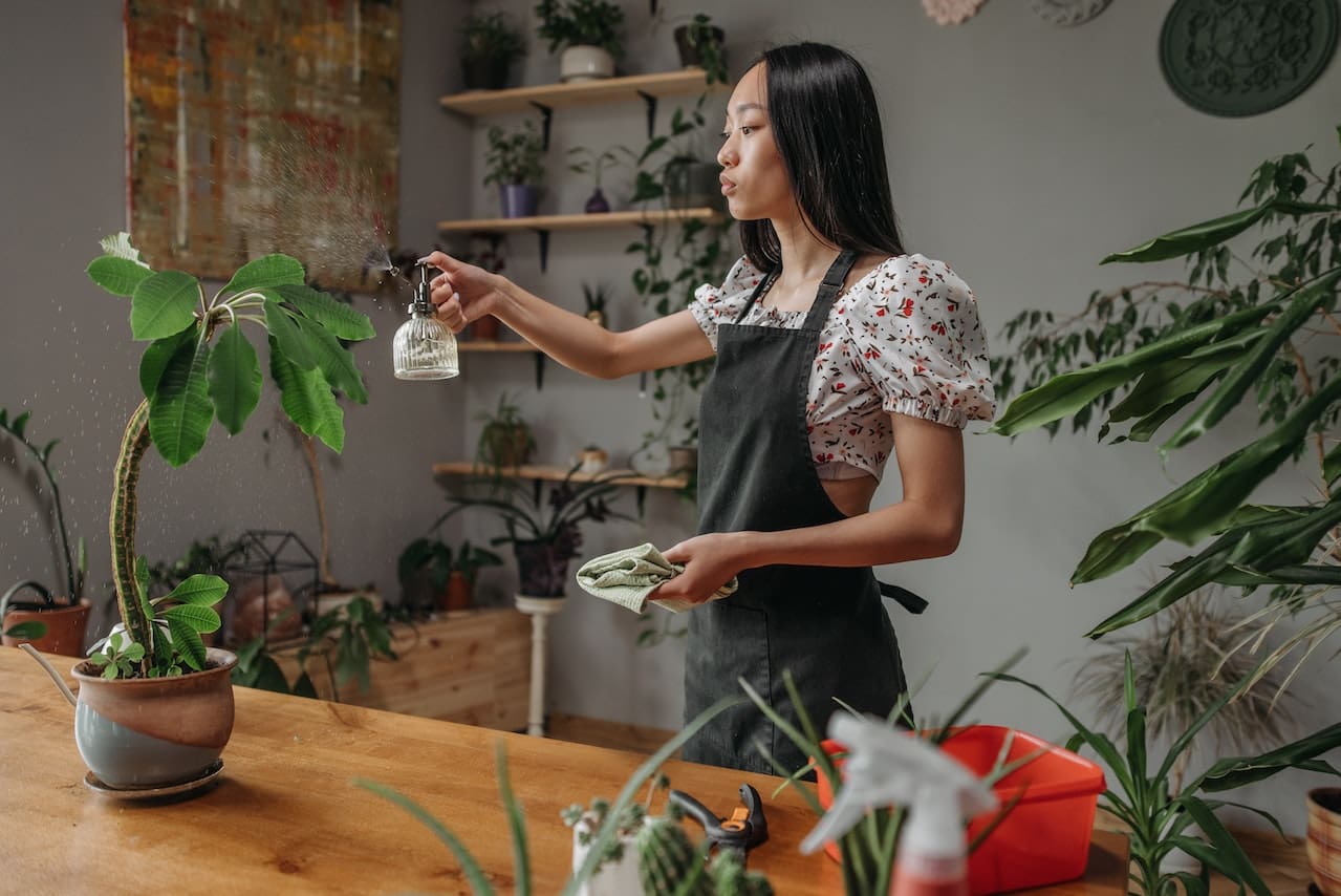 A sunlit conservatory filled with tropical plants. A woman mists the plants with a spray bottle, ensuring they receive the right amount of moisture.