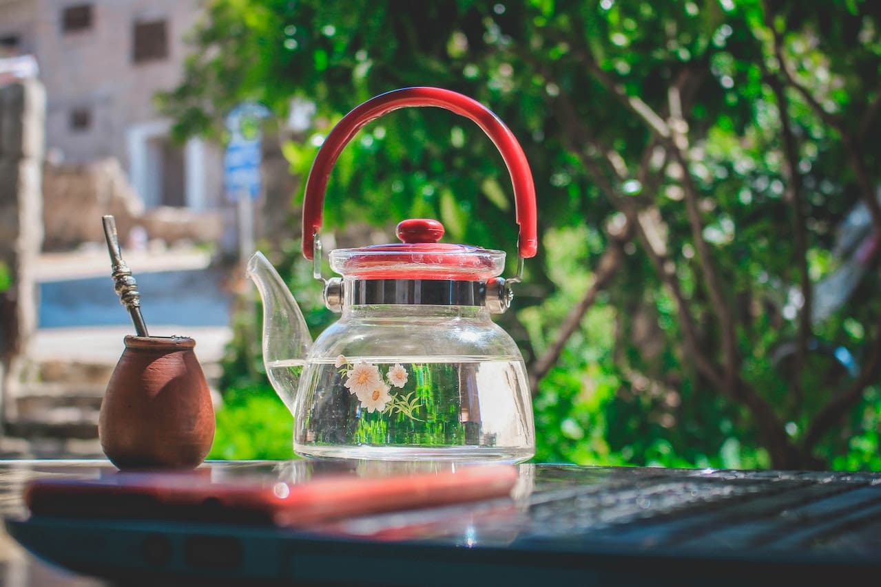 A sunlit patio with a view of a manicured garden. Friends gather for tea, with a glass teapot filled with water and blooming tea flowers at the center of the table.